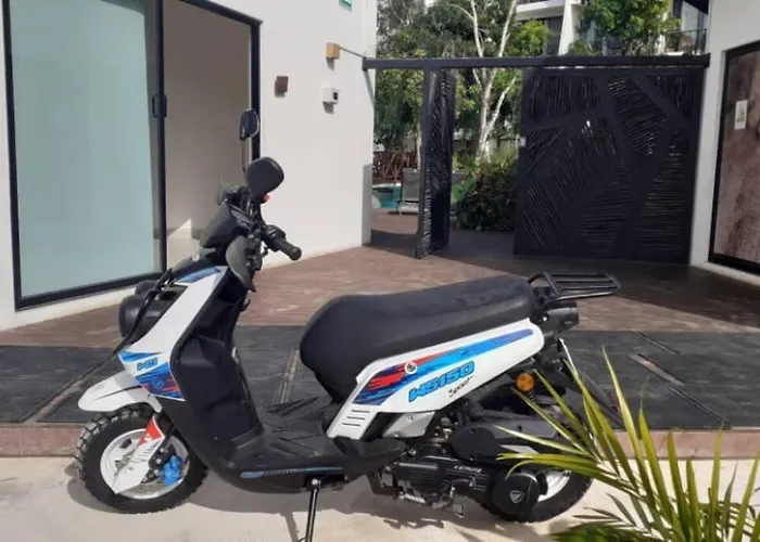 Dk31 Wifi 600mb, Cheap Scooters By Moikkarentals * Tulum